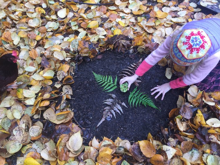 WE CLEARED A CIRCLE WITHIN OUR PAPER BIRCH LEAVES ( BETULA PAPYRIFERA ) TO CREATE THE FOUNDATION FOR OUR MANDALA. MY PRACTICE IS TO BUILD THE MANDALA AROUND THE FOUR CARDINAL DIRECTIONS, WHICH ALSO CORRESPOND TO THE FOUR SEASONS, AND BUILD INTO THE DESIGN ELEMENTS OF TWELVE, WHICH CORRESPOND TO THE TWELVE MONTHS OF THE YEAR. 