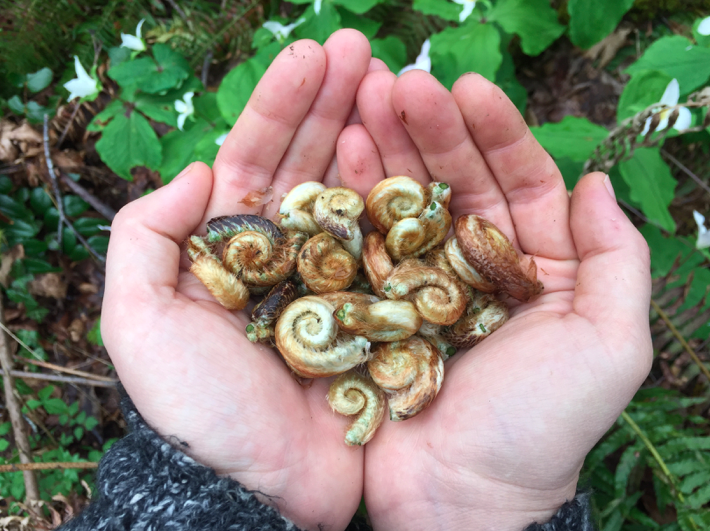 New life at CheastyGreenspace. 