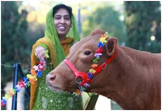 Sacred Hindu Animals 