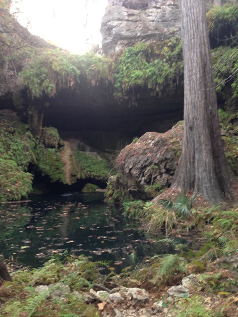 IMG_7147.jpeg