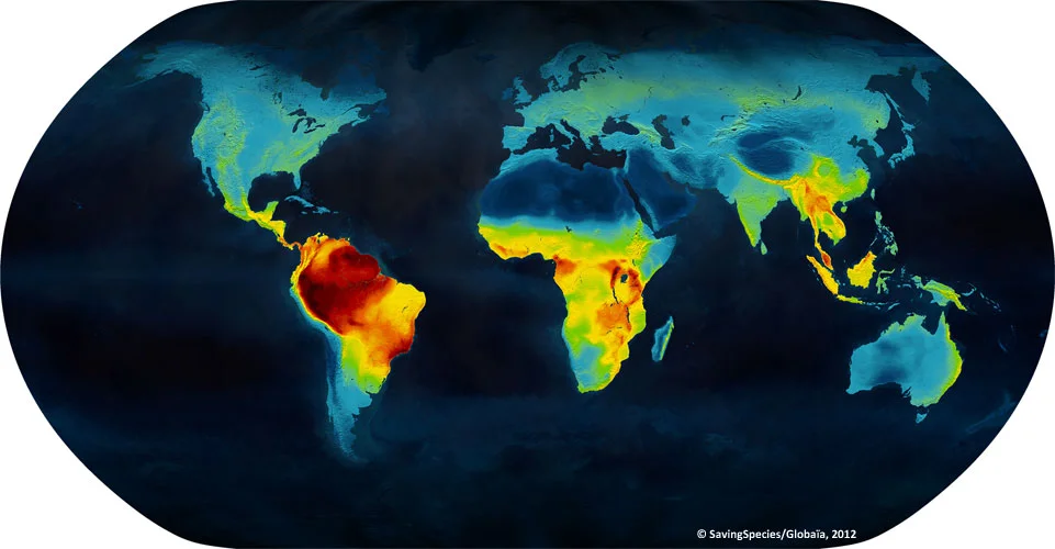 Land-based species with spines, aka. "vertebrates." Red is greatest diversity, blue is least. 