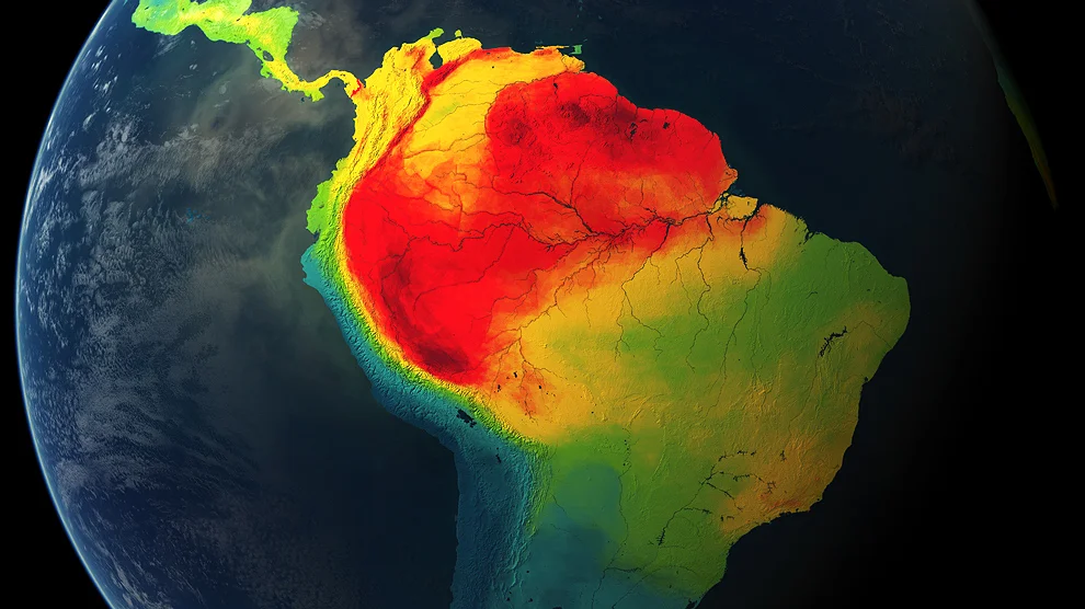 Mammal diversity where it's most concentrated. 