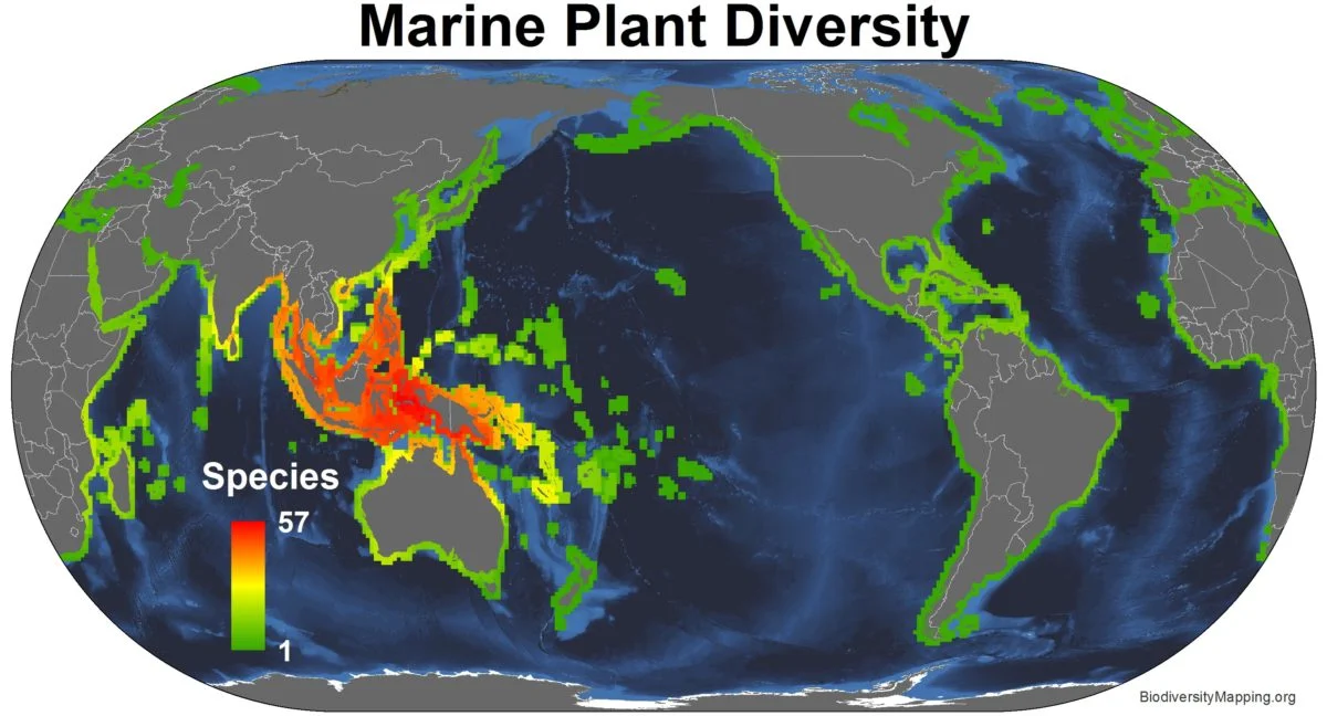 The Southeast Asian islands, primarily Indonesia, are of critical biodiversity importance in all domains: land, freshwater, and oceans. 
