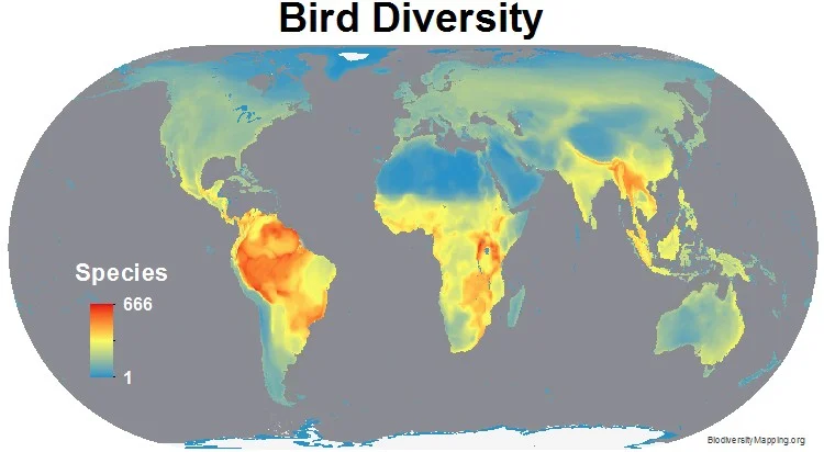 Birds_all_spp.jpg