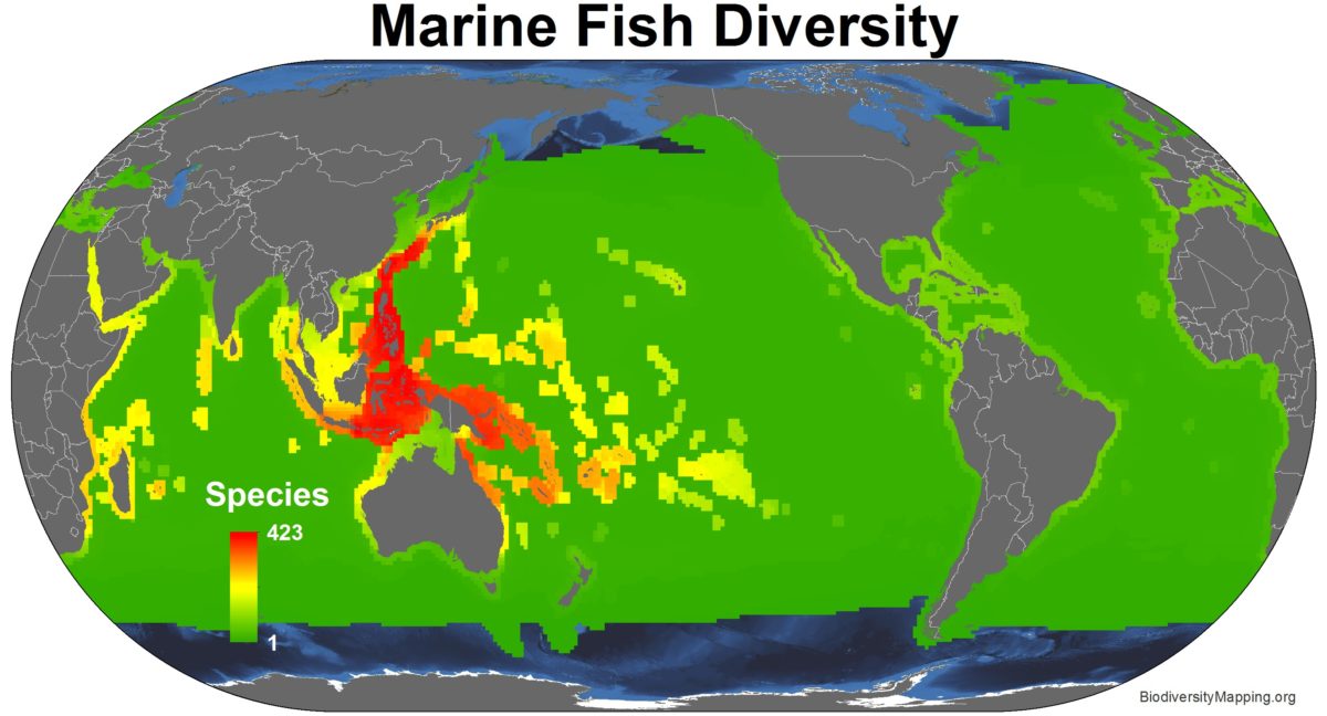 Marine_fish_all_spp-1200x648.jpg