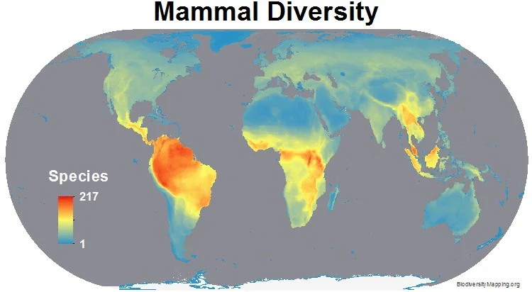 Mammals_all.jpg
