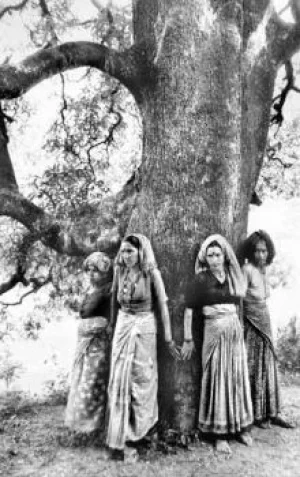 Hindu women of India's Chipko movement . 