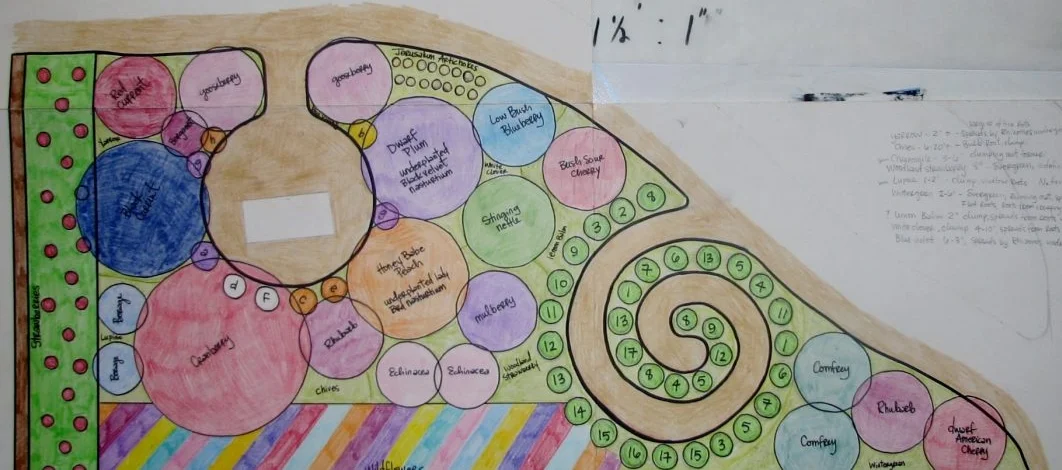 Community garden design, fruit tree miniforest with herb circle and fruit vines. 