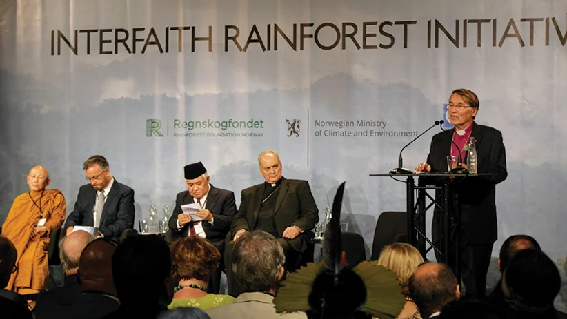 22609rainforest.jpg