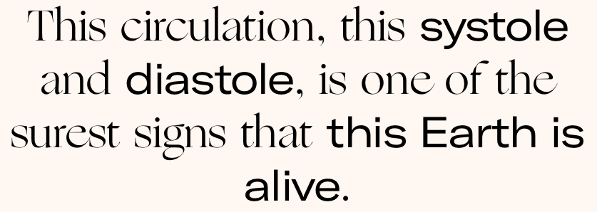 Screen Shot 2018-10-22 at 10.13.38 PM.png