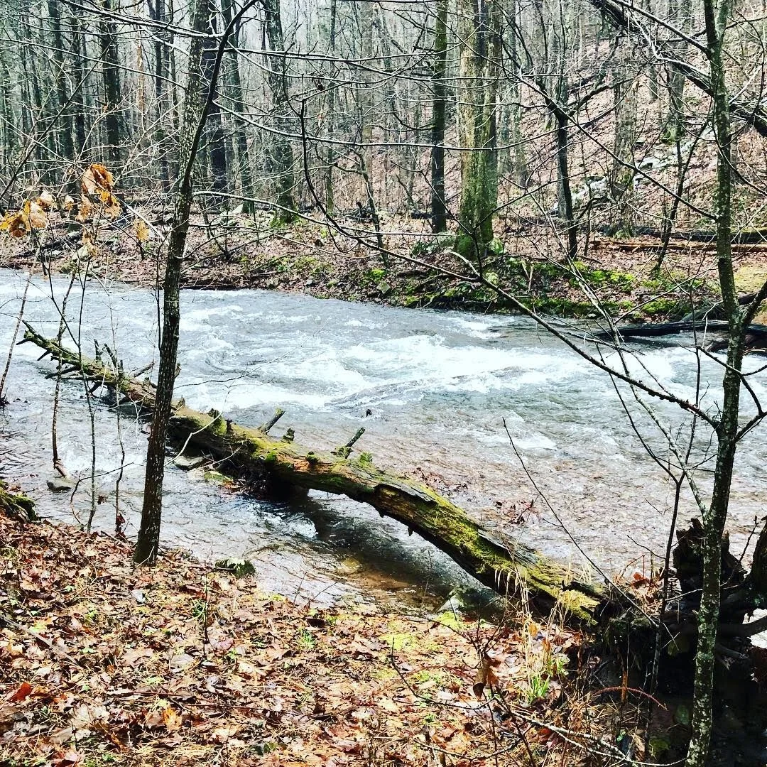 Cow creek winter 2.jpg