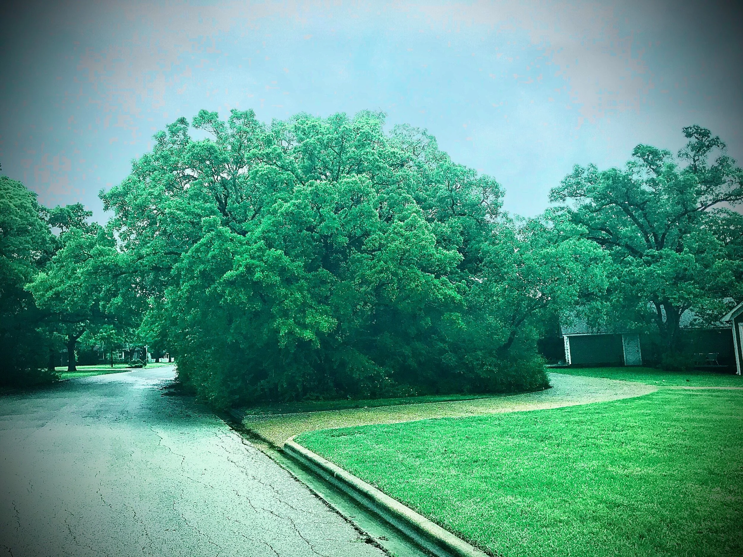 What's a Good Image for God's Kingdom? (Rev. Dr. Dan De Leon)