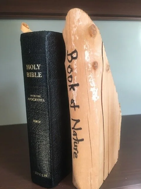 The Book of Nature (Rev. Steve Blackmer)