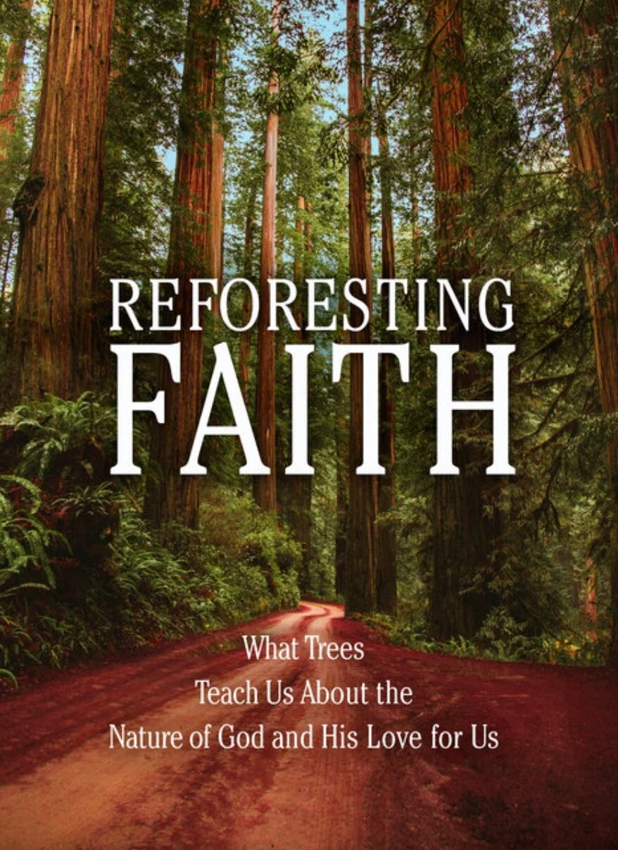 Connecting Faith to Reforestation (Valerie Foulkes)