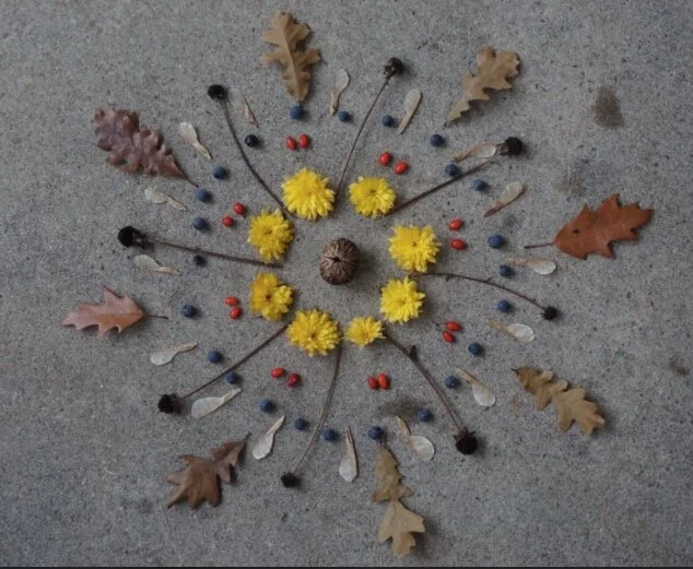 Art From Nature (Wendy Janzen)