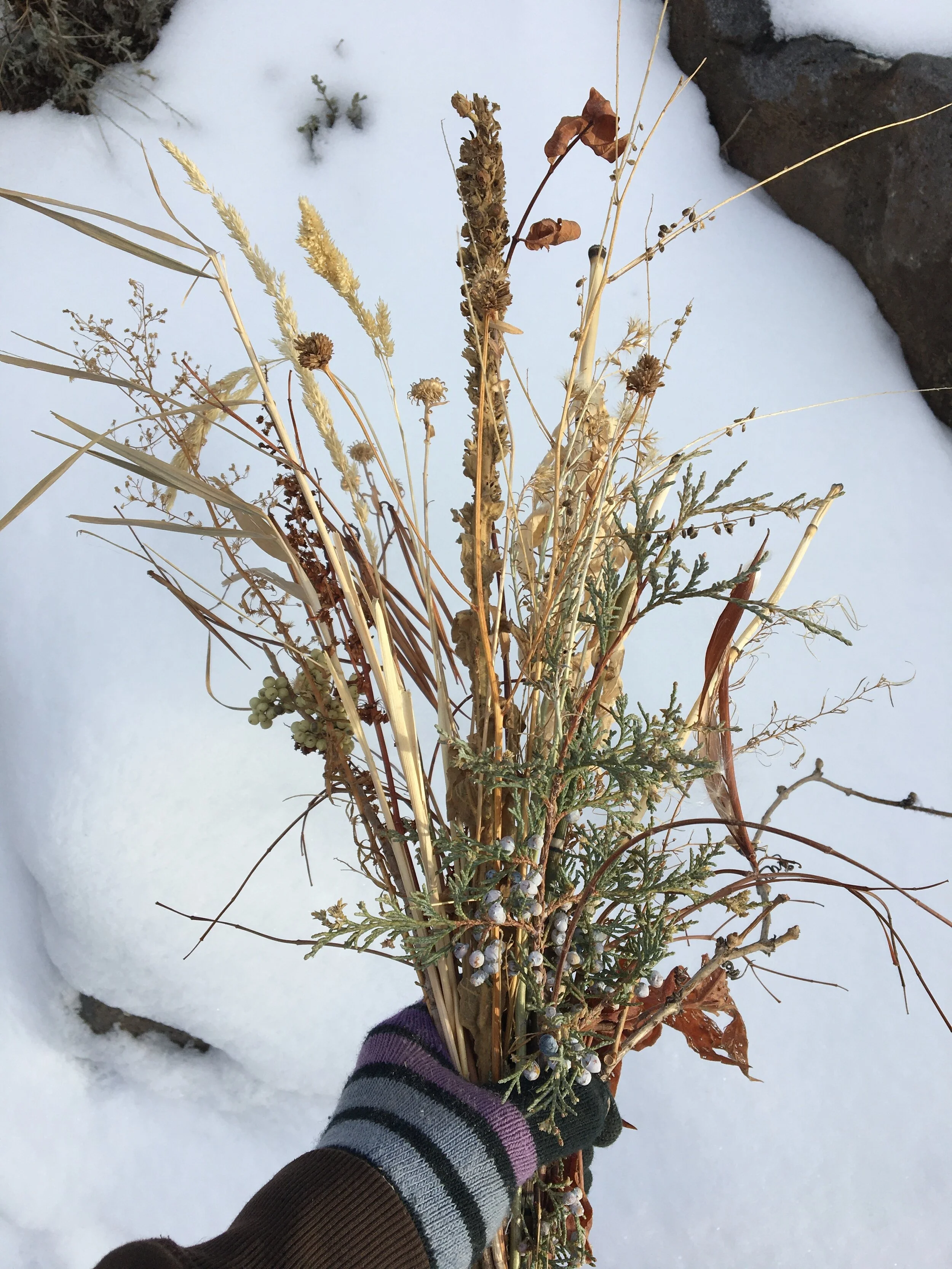 The Sabbath in an Era of Climate Change (Prof. Jonathan Schorsch)