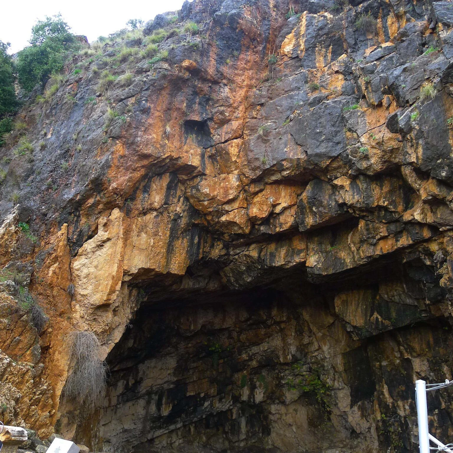 Well, There is the River (Rev. Carmen Retzlaff)