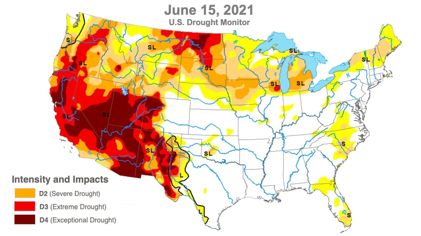 Apocalypse or Apokalypsis? Destruction or Awakening? (Chris Searles, editor)