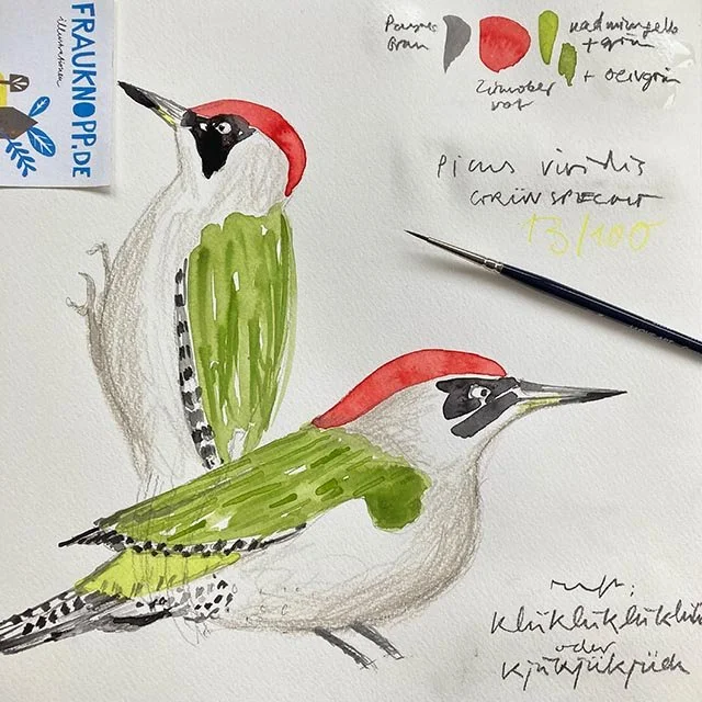 frauknopp-100dayproject-aquarell-gruenspecht.jpeg