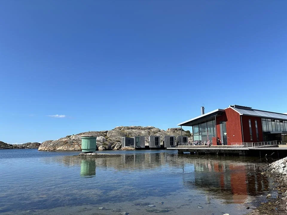 frauknopp-nordiska-akvarellmuseet-sverige-skärhamn.jpeg