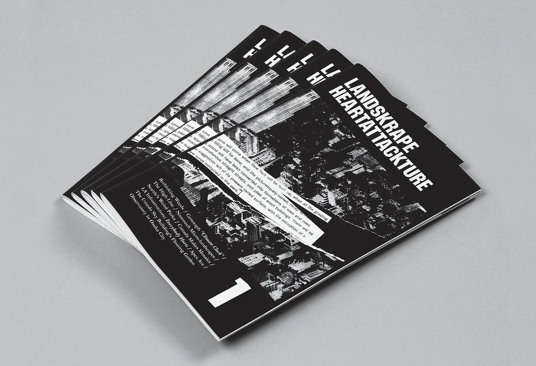landskrape-heartattackture-issue-1-02.jpg