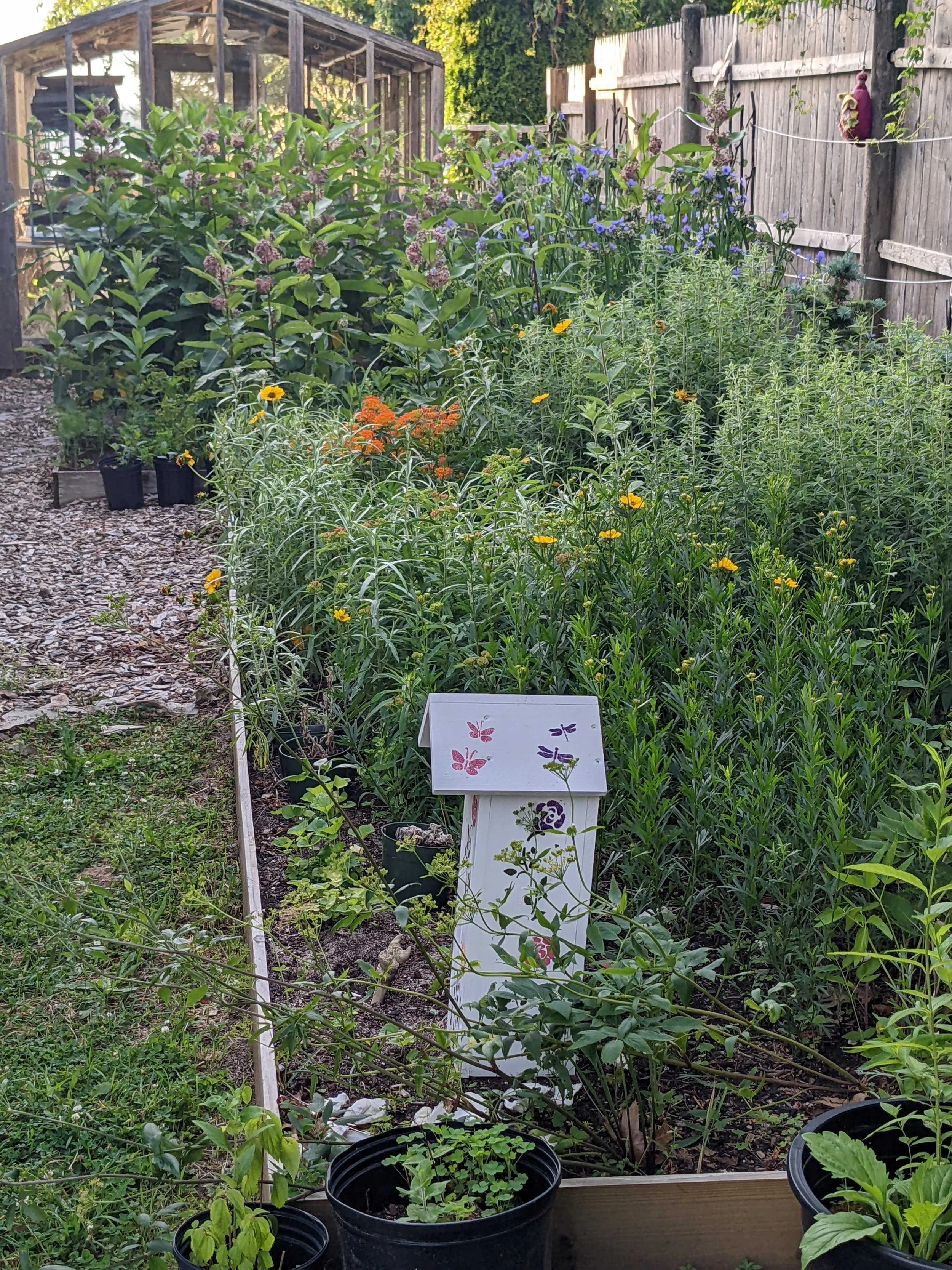 Preparing for Pollinators: 5 tips for getting your yard ready this ...