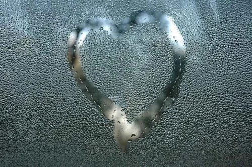 calgary-window-condensation.jpg