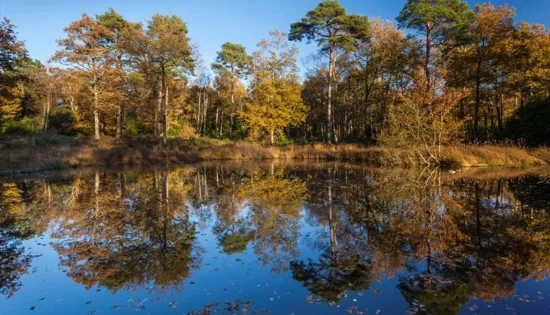 Stover Country Park