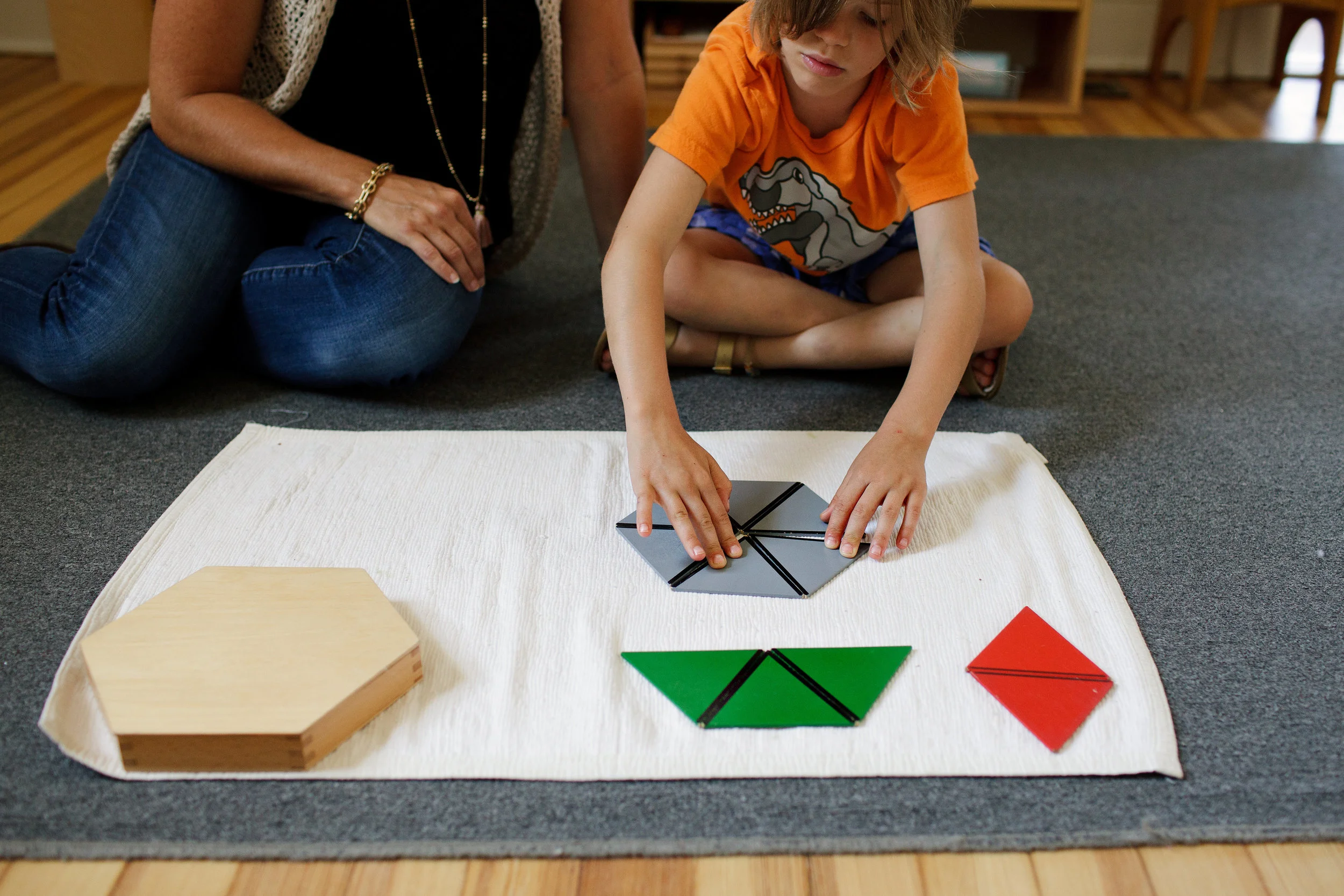 Montessori Program - Arlington Public Schools