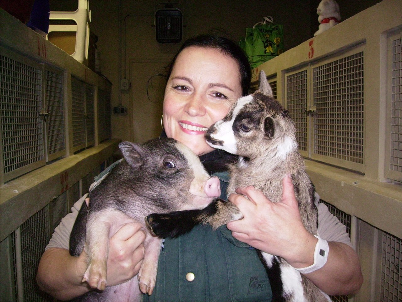 Hoy queremos felicitar a Maria Tojal como se merece. María estudió con nosotros Auxiliar de Veterinaria y acabó el curso en el 2008, fue contratada inmediatamente en la Clínica Veterinaria Virgen de la Candelaria en Tenerife que iba a ser inaugurada en 2009. Trabajó muy duro para poner a punto la clínica para su inauguración, realizando todo tipo de tareas. No se le caían los anillos por ponerse incluso a montar muebles. Fue la primera Auxiliar que tuvo esa Clínica y la que junto a la veterinaria le dieron vida y recibieron a los primeros clientes consechando grandes éxitos. Estuvo trabajando varios años en la clínica pero destinaron a su pareja fuera de las islas y tuvo que dejar Canarias. Desde entonces ha seguido trabajando con animales y desde hace 5 años es Jefa de Personal y Asistente Veterinario en la segunda asociación protectora de animales más grande de Francia. Refuge de la Renessance SPA de Marseille (SPA Marseille Provence en Facebook). En el caso de María el amor por los animales lo lleva en la sangre. Todavía recuerdo la ilusión que tenía cuando iba a empezar el curso, porque según sus palabras "es lo que había estado anhelando siempre hacer". Como en todo en la vida, "el que la sigue, la consigue" y María es el claro ejemplo de ello. En las fotos que nos ha enviado se la ve feliz, además de sacrificada, porque como muchos otros amantes de los animales, se ve que más de una vez ha tenido que dormir en un colchón en el suelo para cuidar y dar calor a algún enfermo o recién llegado. Ante María y muchos otros amantes de los animales nos "quitamos el sombrero" y le hacemos llegar nuestra más profunda admiración por tantos éxitos alcanzados. Enhorabuena María, te lo mereces. Todos los animales a los que atiendes son tremendamente afortunados de tenerte a su lado. Te deseamos lo mejor. Un fuerte abrazo.