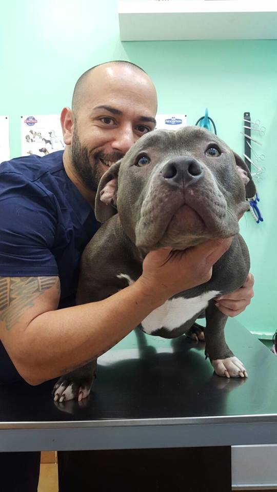 Hoy queremos felicitar a Agustín , Auxiliar de Veterinaria que después de acabar el curso se quedó trabajando y lleva ya casi tres años en la Clínica Veterinaria Virgen de la Candelaria. Excelente compañero de trabajo y un auxiliar incansable y totalmente comprometido con la clínica. Enhorabuena Agustín, sigue cosechando éxitos y sigue enamorando a los clientes con tu exquisito trato.