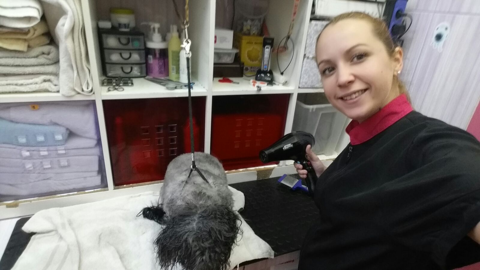 ¡¡¡ Esta semana tenemos felicitaciones por partida doble !!! Para Cris Trillo Lozano y para Liam. Cristina terminó nuestro curso de peluquería canina el año pasado y se quedó trabajando con nuestra magnífica profesora Ruth en su peluquería. Sin embargo Cristina siempre ha sido una persona infatigable y encontró trabajo en tres clínicas veterinarias. Actualmente va a pelar a cada una de ellas en días diferentes de la semana. ¡¡¡ Increíble !!!. Por si esto fuera poco, su día libre los domingos, lo suele dedicar junto a un grupo de peluqueras voluntarias a acicalar perros de una protectora (entre otras también está Noelia Rodriguez de la que escribimos un post el otro día). ¡¡¡ Eso sí es amor por los animales los 7 días de la semana !!!. Pero nos falta la segunda felicitación. Y es que la felicitación por Liam también va para Cristina. Liam es un nombre de origen irlandés, es el que alcanza sus metas y nunca se rinde. Amable, cariñoso y servicial. Es indudable que Liam ha adquirido esas cualidades, a las que hace mención su nombre, de su madre Cristina. Pero Liam todavía no está aquí, sólo tiene 7 meses y Cristina espera ver su cara por primera vez dentro de dos meses. “Felicitaciones por esta maravillosa noticia. Ese bebé que se está formando en ti es muy afortunado porque tendrá unos padres increíbles." Os deseamos a los dos lo mejor.