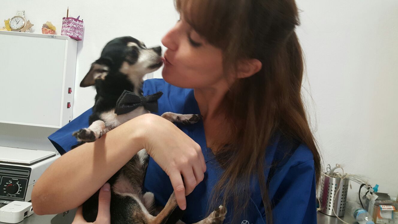 Seguimos felicitando a nuestros antiguos alumnos que han conseguido trabajo y son excelentes personas y comprometidos trabajadores. Hoy las felicitaciones van para el sur, para Lorena Pérez que hizo el Curso de Auxiliar de Veterinaria con nosotros en la edición 2008-2009 y se quedó trabajando durante sus prácticas en la Clínica Veterinaria Mascotas La Camella. Desde entonces se ha convertido en una persona indispensable para la clínica. No se puede ser más cariñosa y alegre que Lorena; y es que casi nos es imposible encontrar una foto suya en la que no esté abrazando, cuidando o mimando a algún animal. ¡¡¡ No cambies nunca !!!.