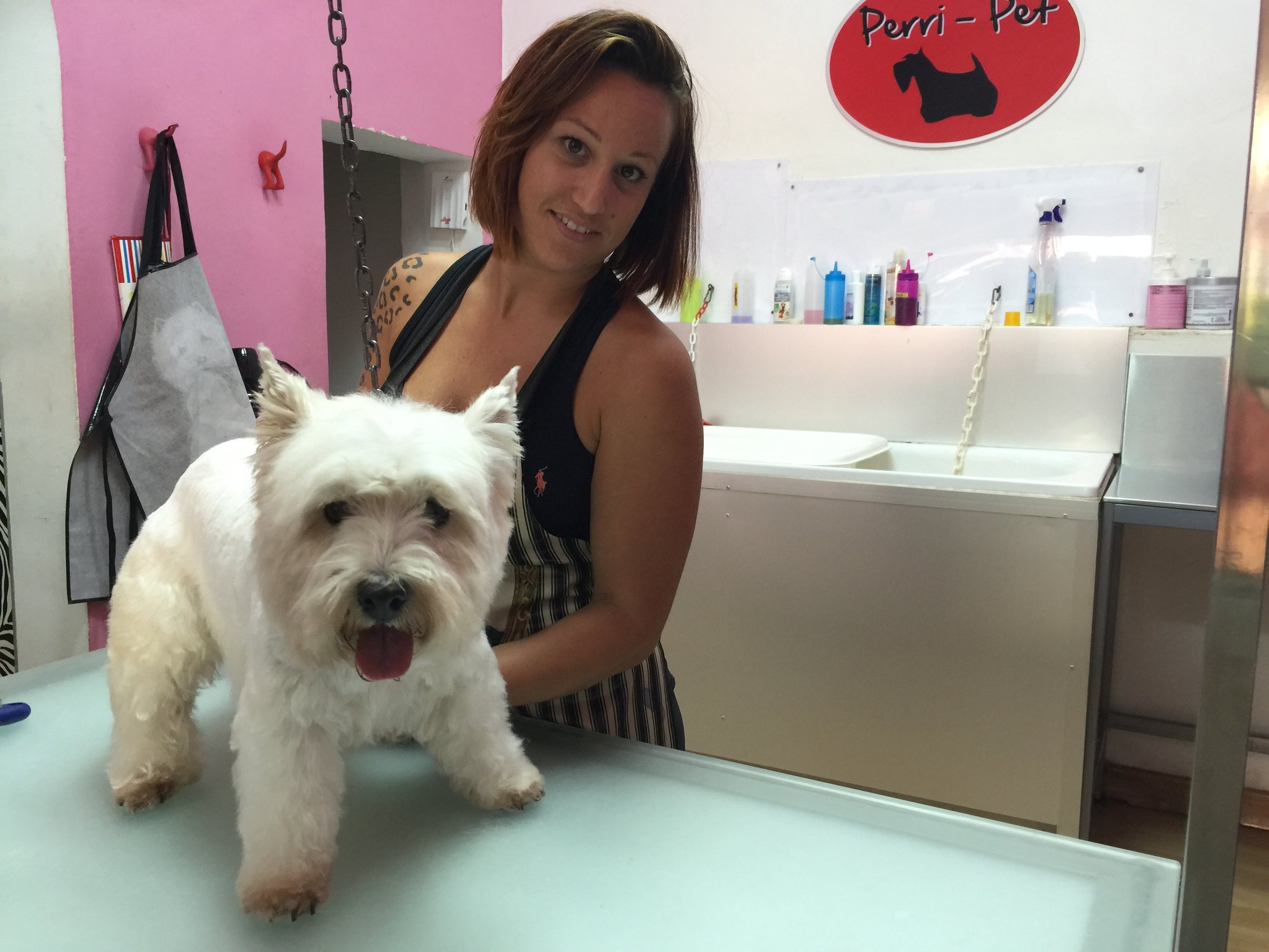 ¡¡¡ Hoy otra buena noticia !!! Deborah Chacón ha demostrado ser muy buena Peluquera Canina y fruto de ello ha sido su contratación en PerriPet, recién acabado el curso. Una vez más nuestros alumnos son el reflejo de la calidad de nuestros profesores. Enhorabuena Deborah y felicidades a todos por tan buen trabajo.