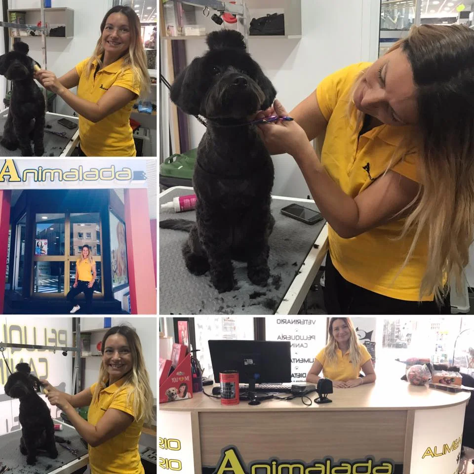 Hoy queremos felicitar a Mayte, alumna de esta última edición del Curso de Peluquería Canina y del Curso de Auxiliar de Veterinaria por su reciente contratación en Animalada. Con más de 15 años de experiencia Animalada es referente en La Laguna, dispone de tienda especializada, peluquería canina y consulta veterinaria. Gracias por acoger a Mayte en vuestra gran familia y a Wendy por posar tan guapa para la foto.