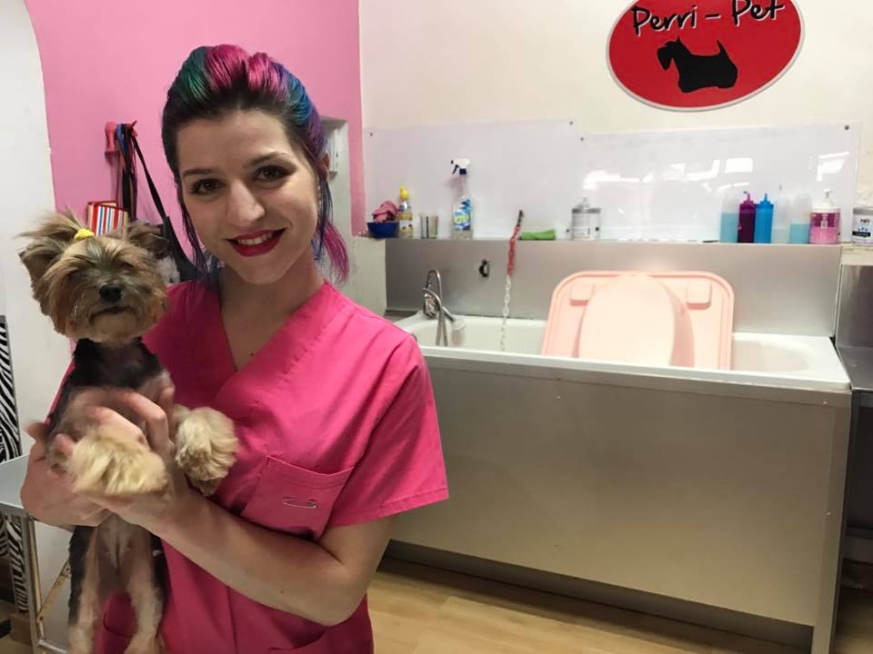 Centauro Congresos ha añadido 3 fotos nuevas — me siento orgulloso(a) en Perri-Pet . 22 de febrero · Santa Cruz de Tenerife · Una gran noticia esta semana con la contratación de Micaela, alumna del Curso de Peluquería Canina, en Perri-Pet. Muchas gracias a Ruth y a su equipo por la oportunidad, Micaela es un encanto de persona y gran amante de los animales. Es un magnífico fichaje.