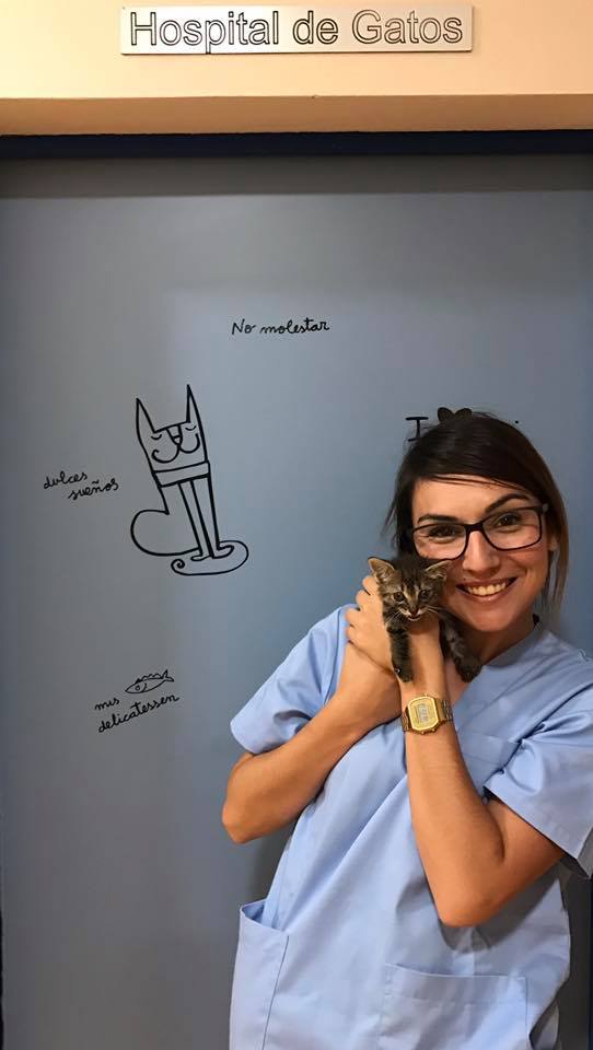 Seguimos de enhorabuena y felicitando a los alumnos que han conseguido trabajo durante esta edición del Curso de Auxiliar de Veterinaria. Hoy nos hemos acercado al barrio de Fátima en Güímar para celebrar, con Olga, su contratación en el Hospital Veterinario Añaterve. Estamos muy orgullosos de que pases a formar parte de un centro donde se practica medicina veterinaria de extraordinaria calidad. La formación de primer nivel en nuestros cursos con excelentes veterinarios, unido al talento de nuestros alumnos produce finales felices como este. Enhorabuena Olga!!! Estás en las mejores manos. Prepárate porque aún no has visto lo mejor de ti. En el Hospital Veterinario Añaterve verás hasta dónde puedes llegar. El Hospital Veterinario Añaterve es el único con Calidad Certificada por auditores externos y primer centro Wellcat Oro reconocido por la Sociedad Internacional de Medicina Felina en Tenerife. Un equipo de 13 veterinarios y auxiliares en en continua actualización para ofrecer, las 24 horas, los 365 días del año, lo mejor y lo último a sus clientes. Gracias a todo el equipo por haberle dado esta magnífica oportunidad de demostrar su talento.