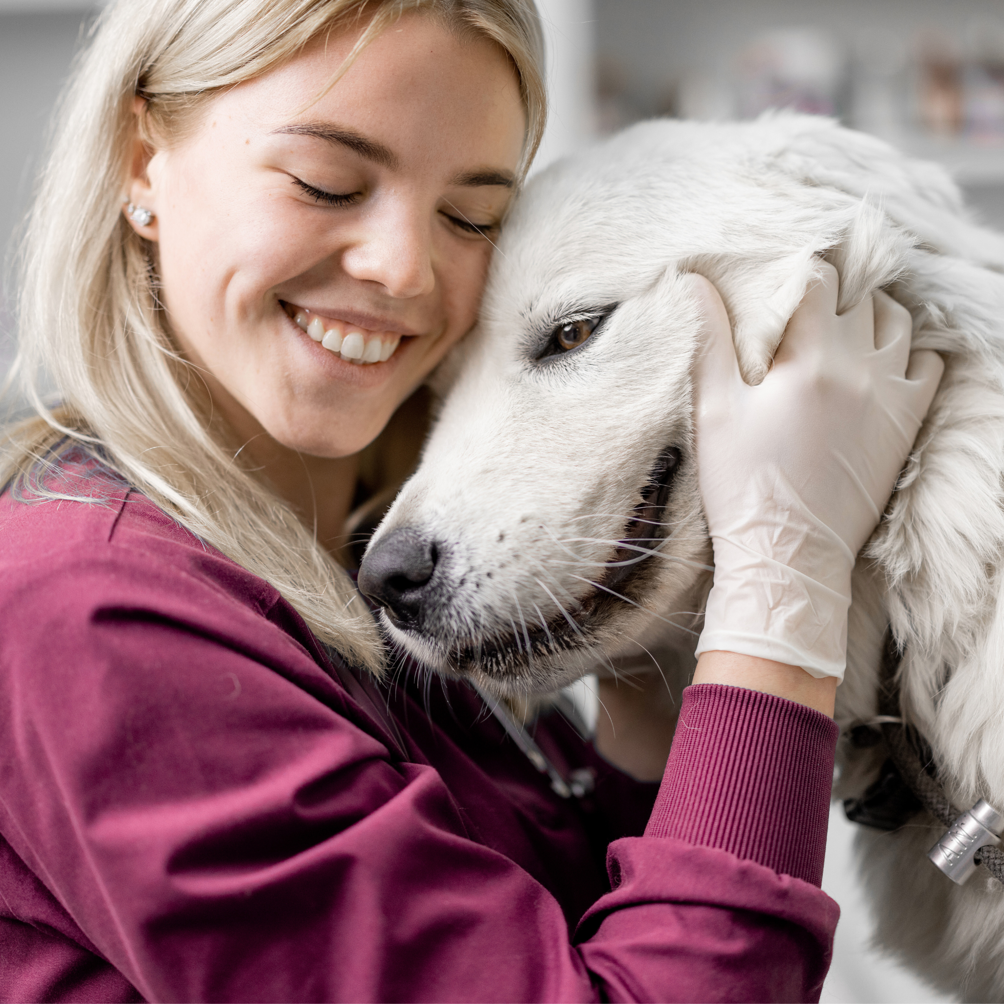 PAGO COMPLETO CON DESCUENTO Curso Auxiliar de Veterinaria