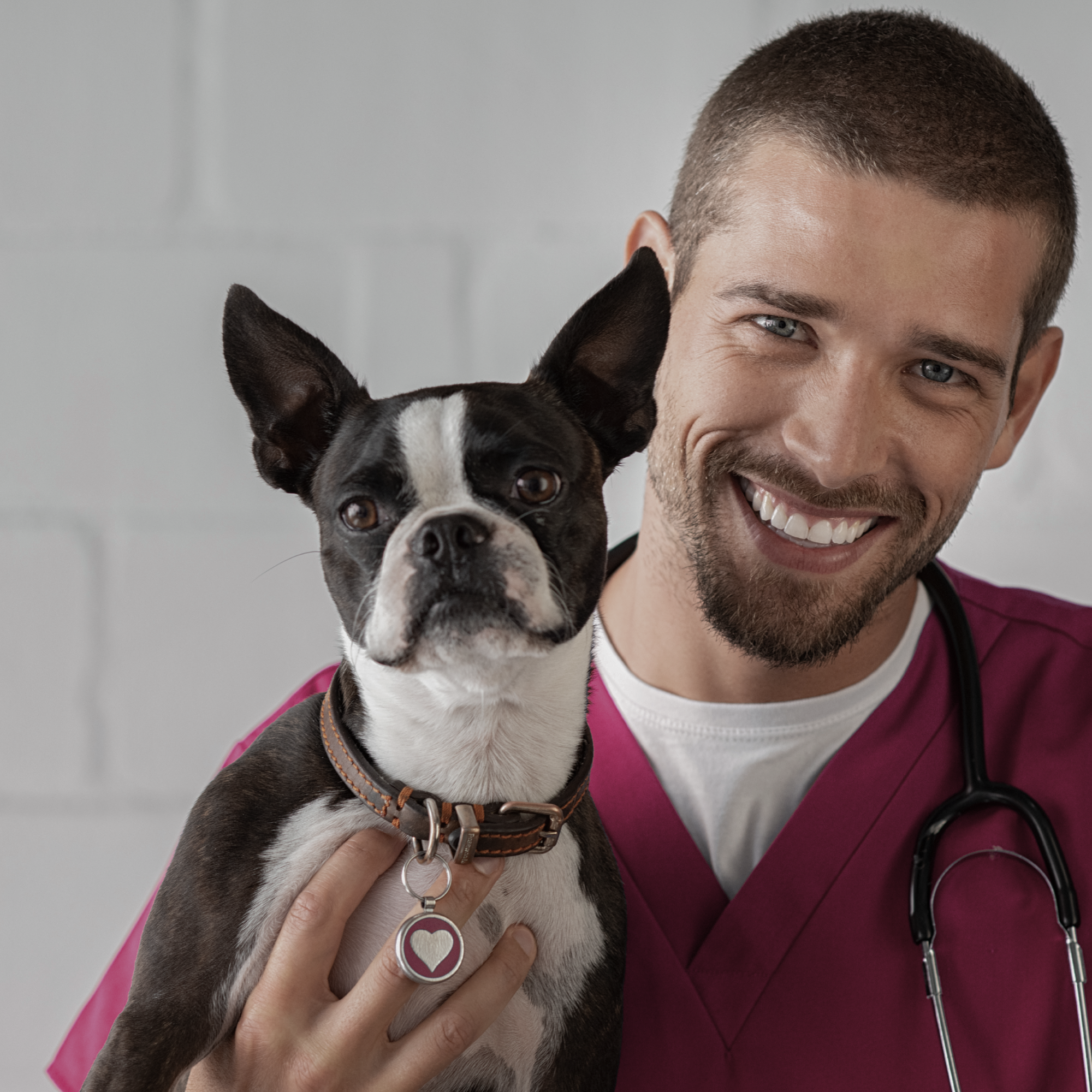 matrícula CURSO AUXILIAR DE VETERINARIA Edición Sábados de 10 a 13 horas