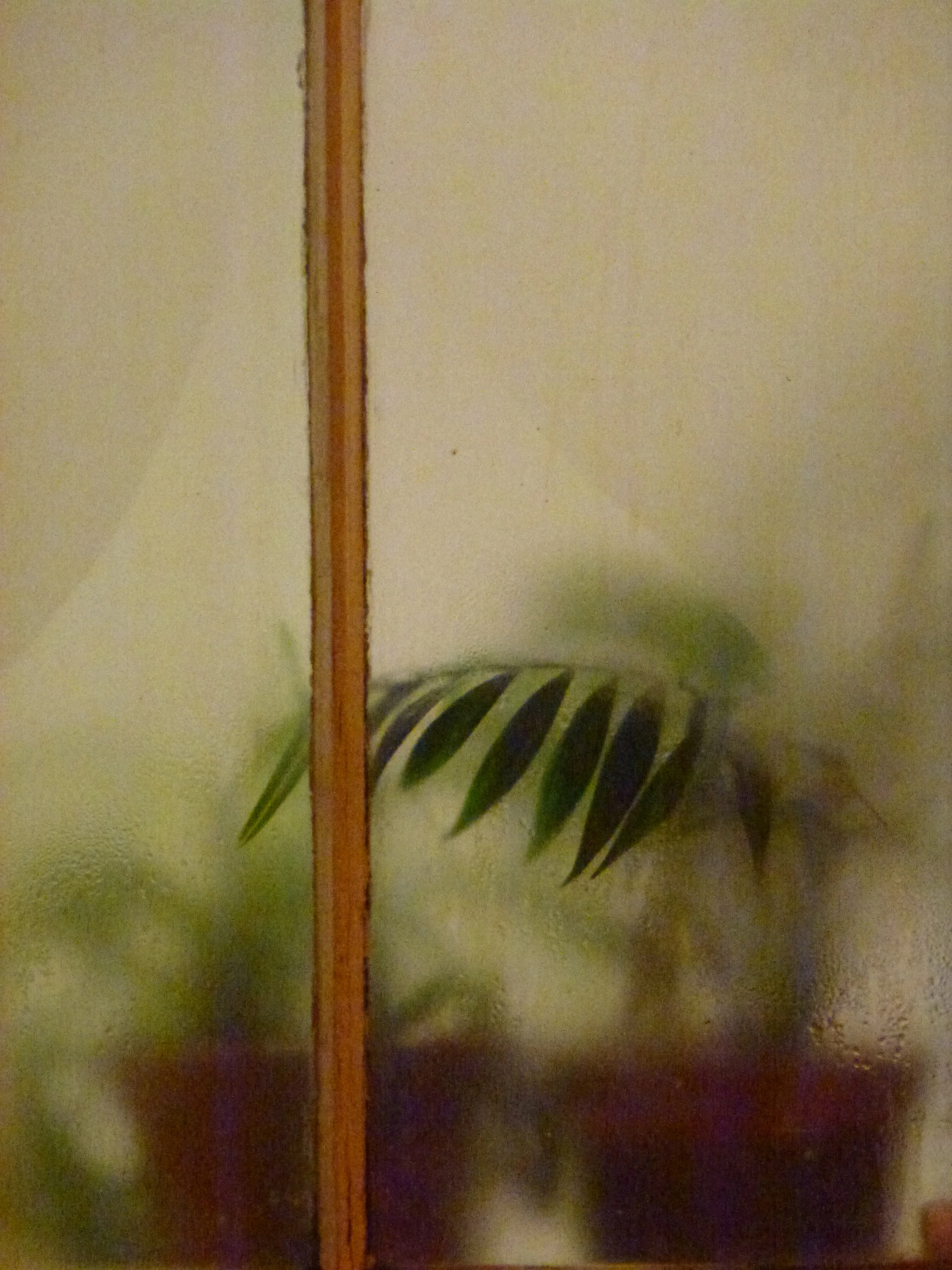 E9
