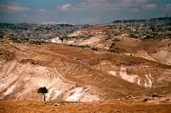 APOMEE-Newertown-YazanKhalili-2010.jpg