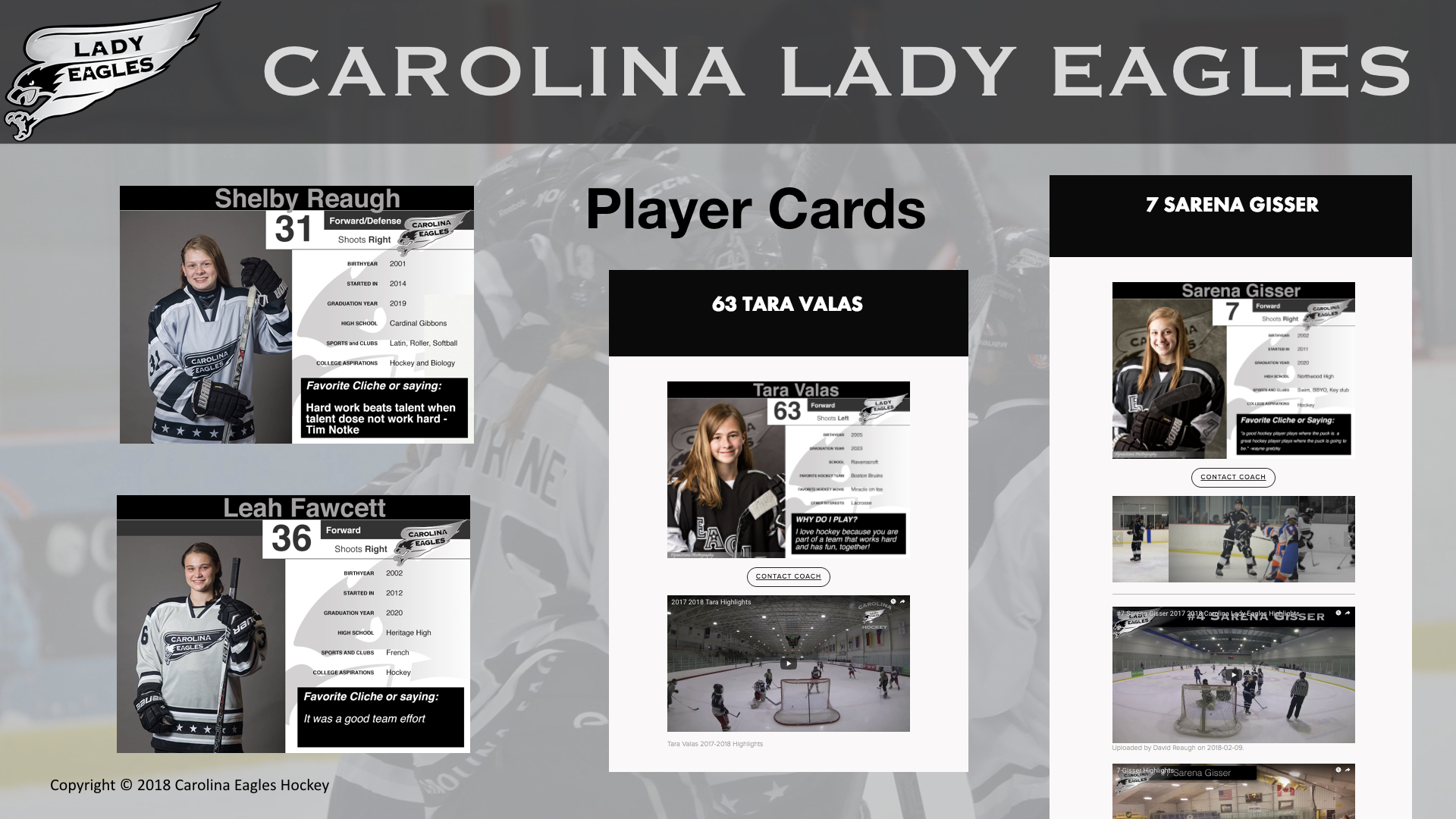 Player Cards and Highlights