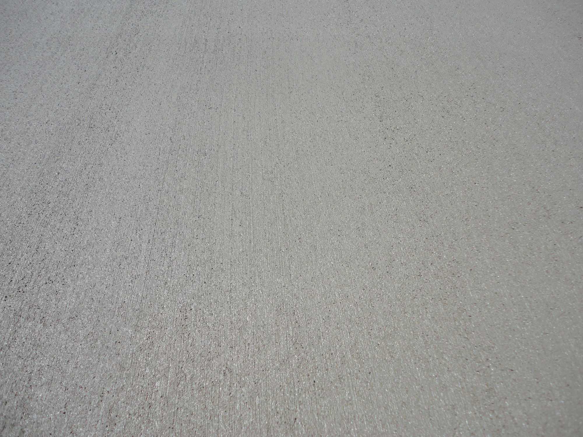DSC03764.jpg