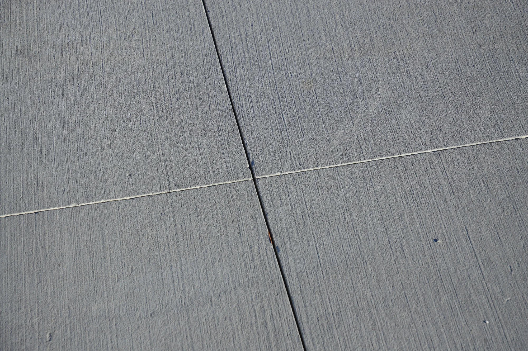 DSC_0065.jpg
