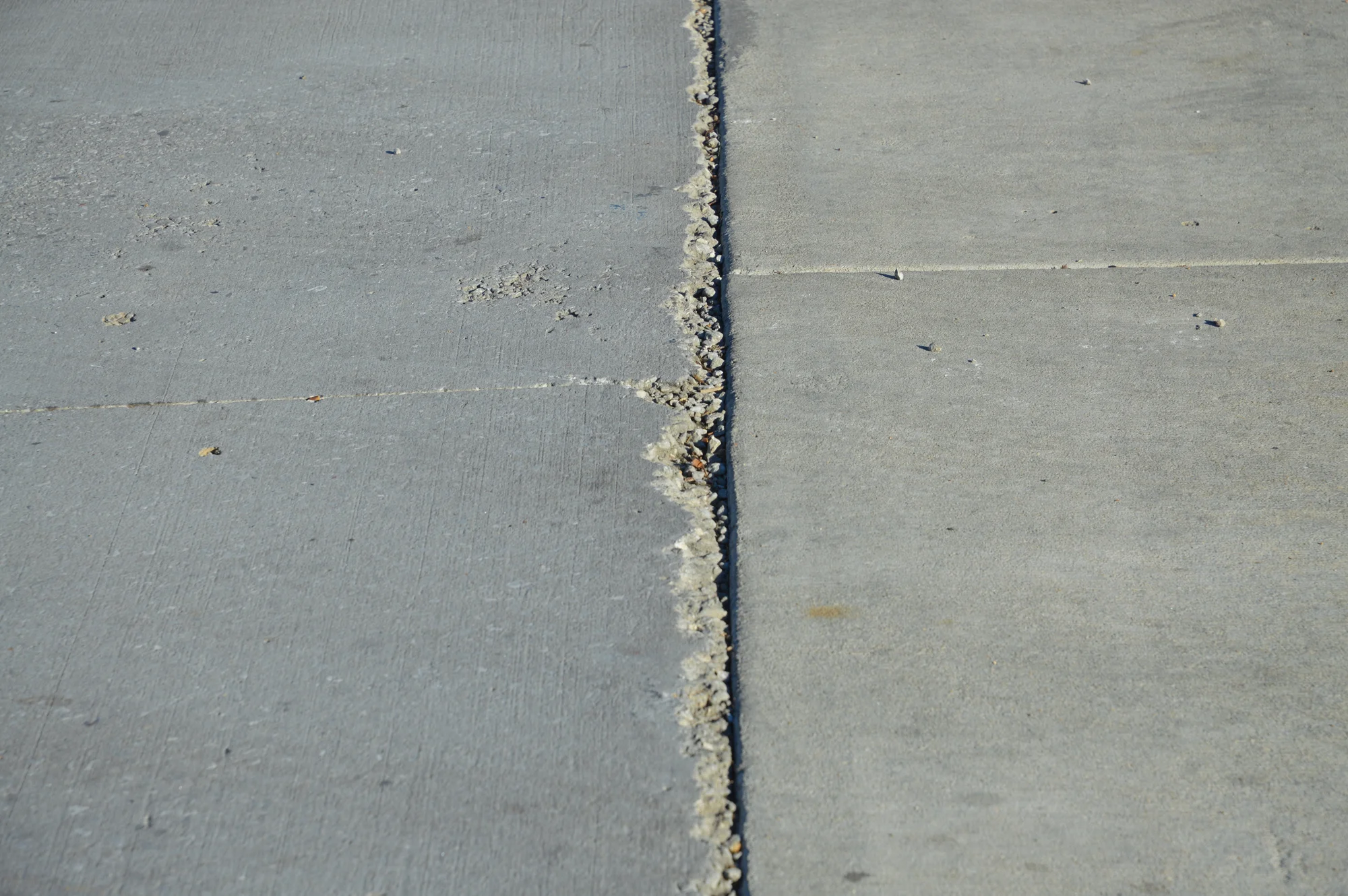 DSC_0136.jpg