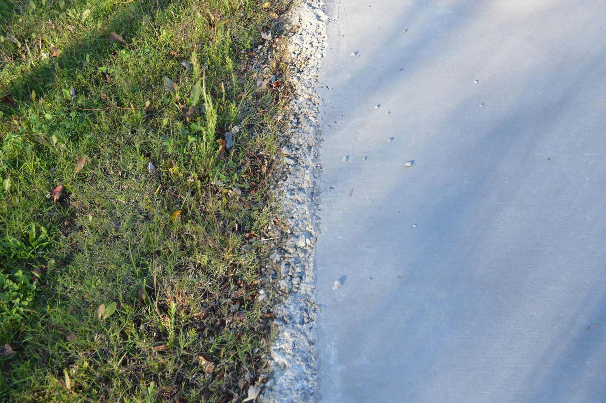 DSC_0147.jpg