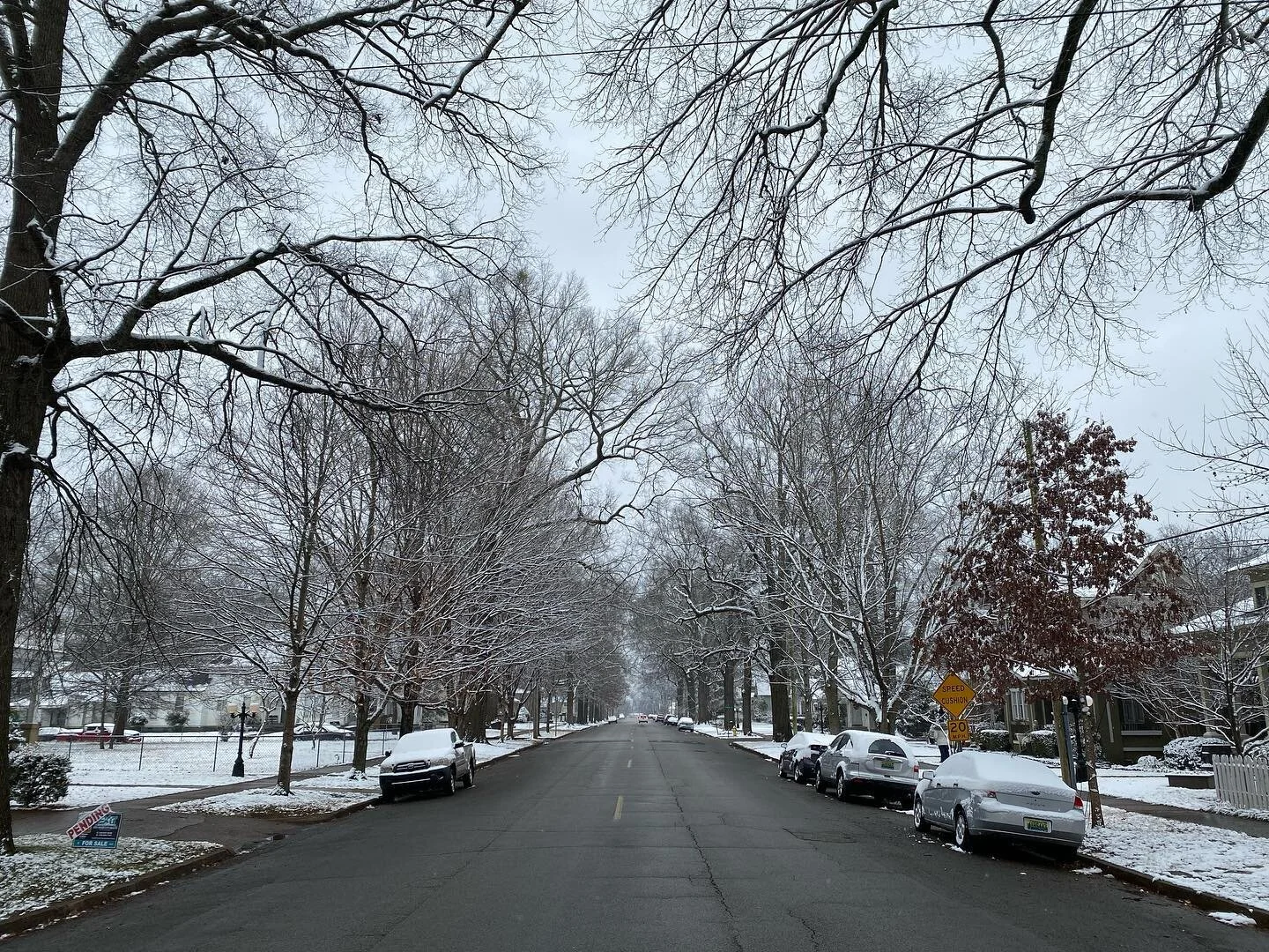The Great Frozen Tundra of Alabama