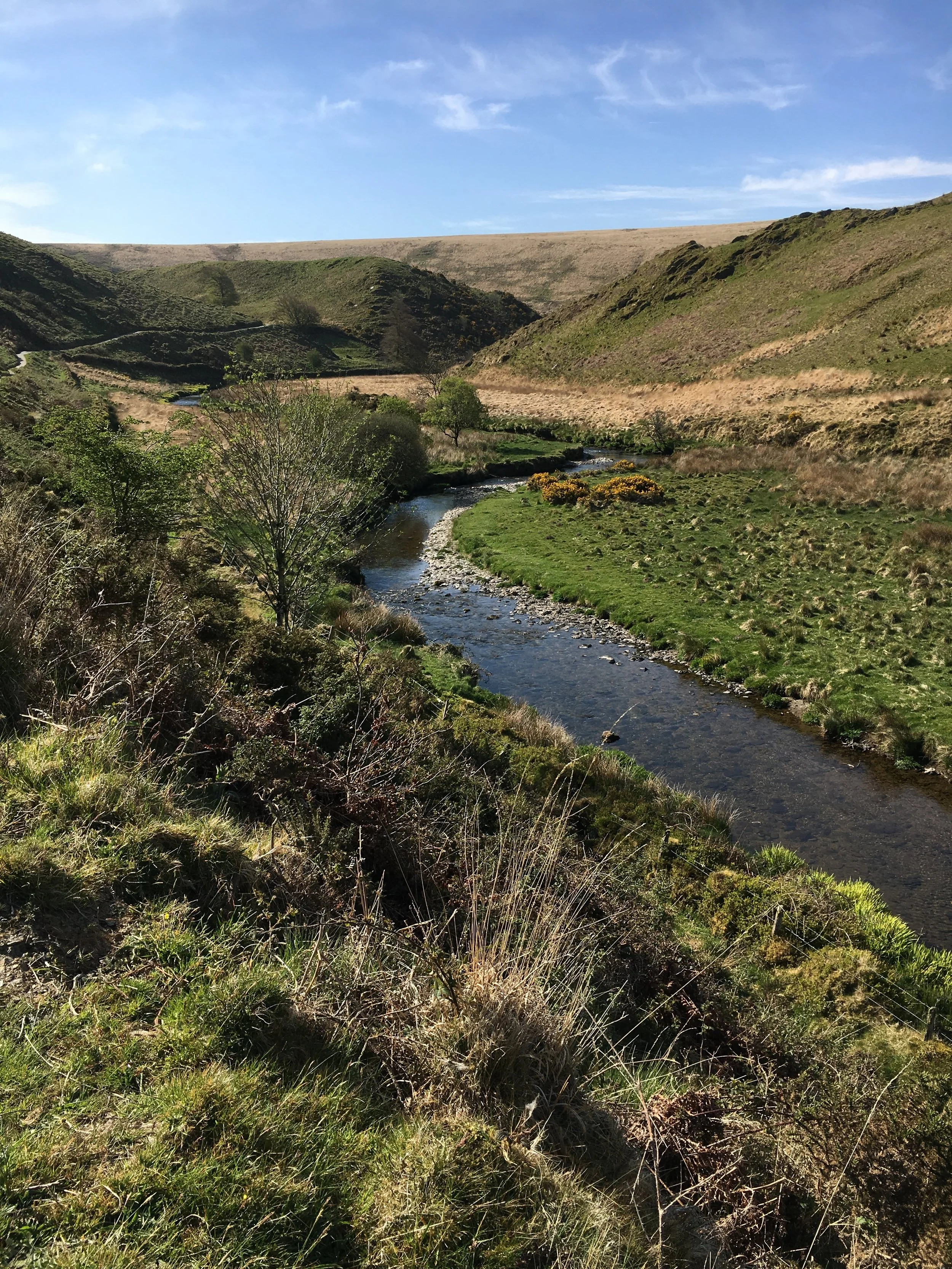 the Two Moors Way, PART 5....  Day 2 of the hike, Barle Valley and beyond...