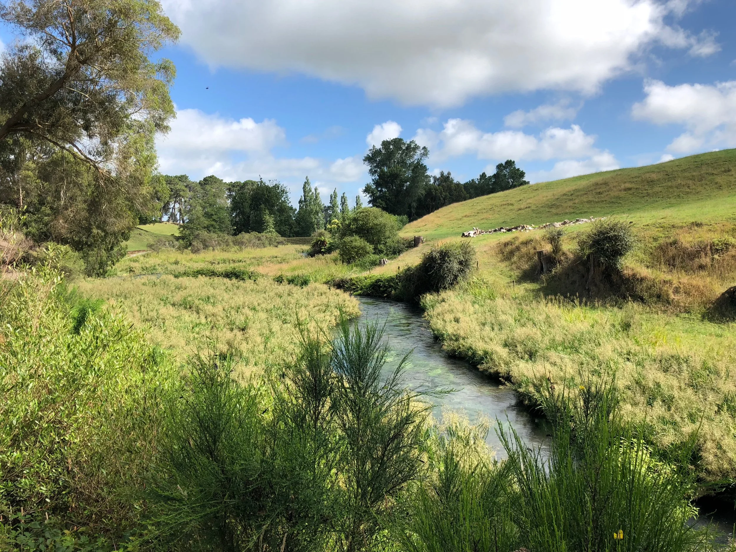 time to reboot, and put a lot of learning to the test.