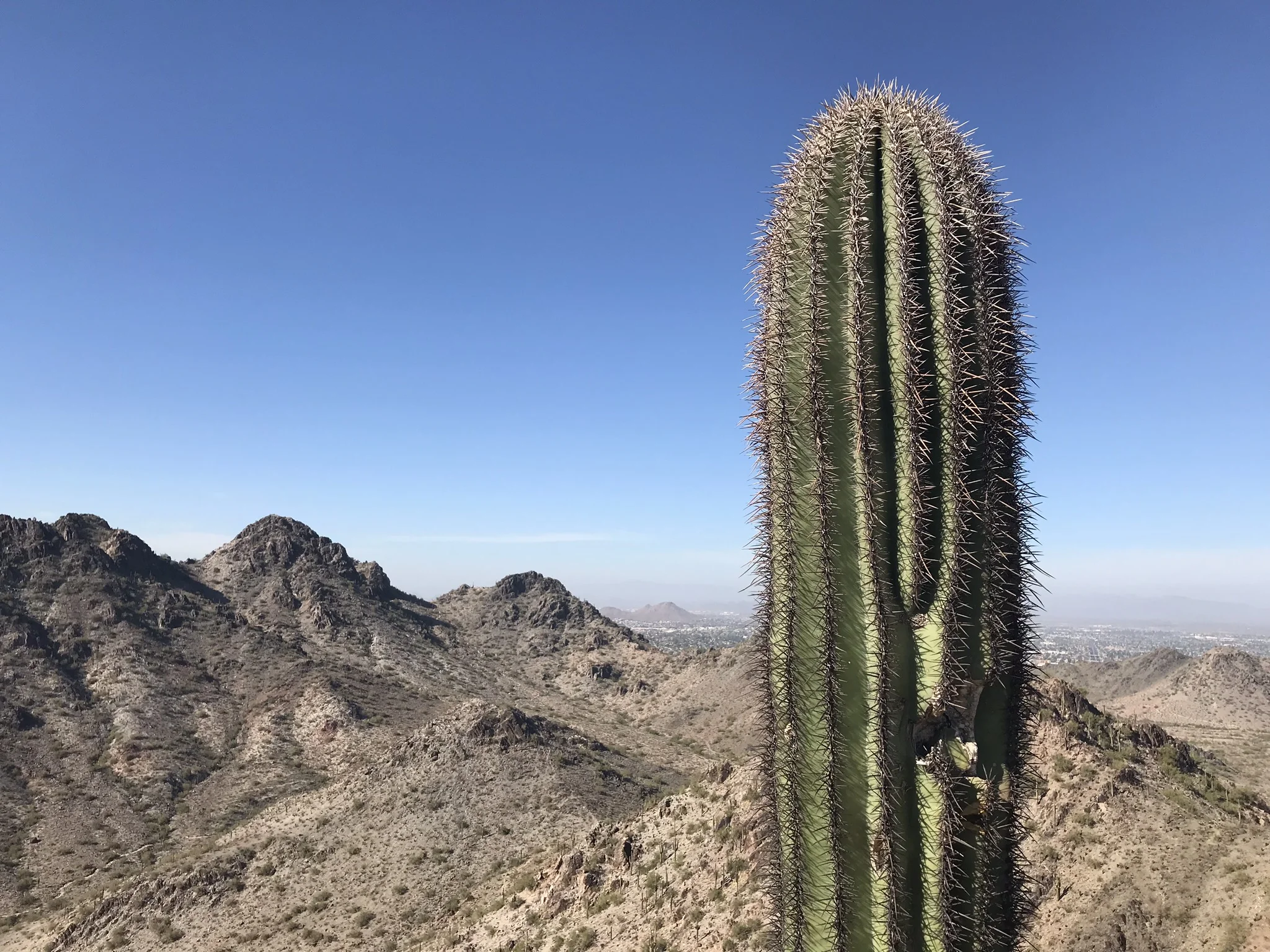 I Miss Talking About Architecture Julie Dunne Design